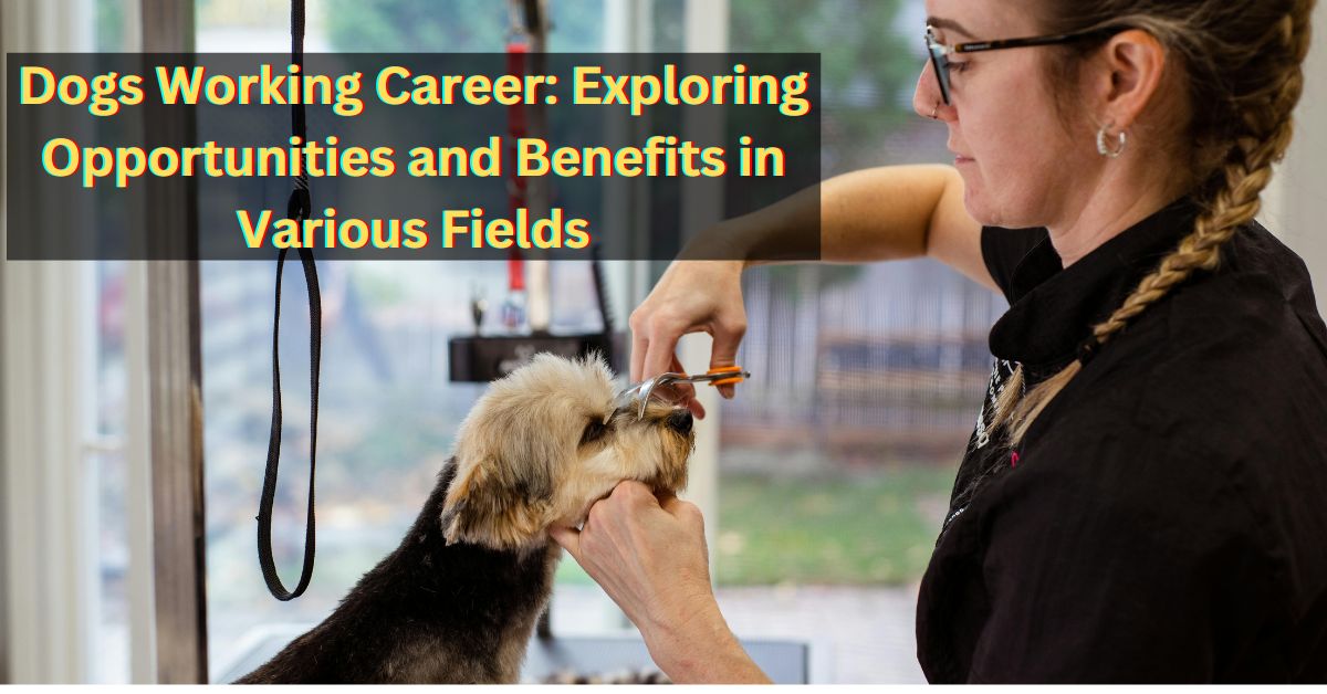 Dogs Working Career
