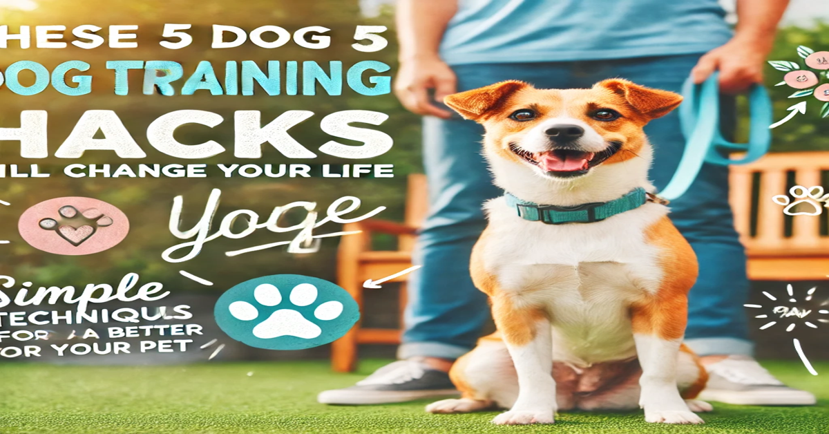 These 5 Dog Training Hacks Will Change Your Life: Simple Techniques for a Better Relationship with Your Pet